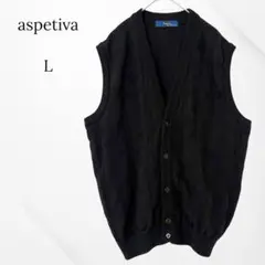 aspetiva ベスト　ニット　ブラック　L ウール100% 日本製　オフィス