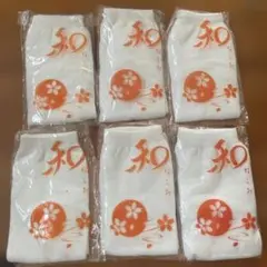 Item thumbnail for item b043a94c-78ba-4745-9958-5a631df82ff1