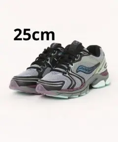 2025年最新】SALOMON サロモン triumphの人気アイテム - メルカリ