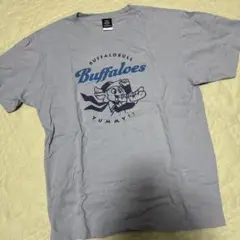 ORIX Buffaloes Tシャツ Lサイズ