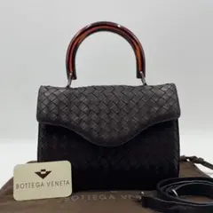 ✨美品✨ボッテガ 2way ハンドバッグ べっ甲 イントレチャート 付属品付き