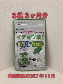 【3ヶ月分◆新品】シードコムス　イチョウ葉エキス　賞味期限2027年11月