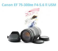 Item thumbnail for item d0d66e47-3b76-4024-ac5a-b8fa403eece6