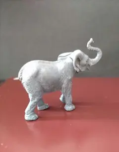 子ゾウ 片方の耳に傷あり。ブリテン（？）