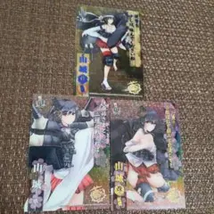 艦これ　山城　クリアカード　3種類セット
