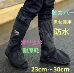 Item thumbnail for item 81ccefdc-0bde-477c-9c0d-2dd791ed7ae4
