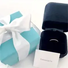 【新品未使用】Tiffany メトロ フルサークル ダイヤリング 希少