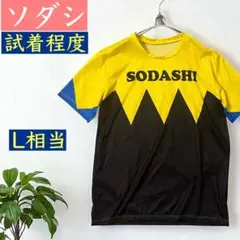 ◎試着程度/訳あり◎★ソダシ　勝負服★Tシャツ★白毛★最優秀２歳牝馬/３歳牝馬★