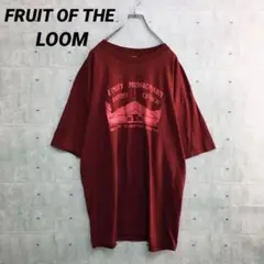 Z0086 フルーツオブザルーム Tシャツ 赤 2XL ビッグプリント 教会