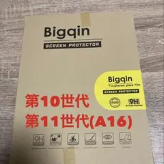 iPad 第11世代 A16 第10世代 10.9インチ フィルム