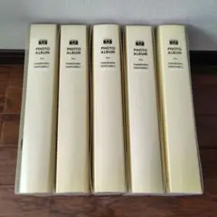 Item thumbnail for item 718b2e89-c3d3-4653-aa6a-330b8fde3d2a