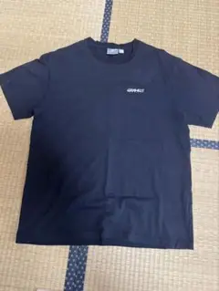 GRAMICCI Original Freedom Tシャツ L 黒