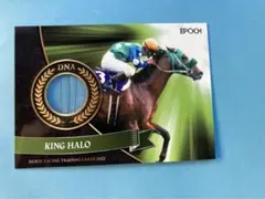 限定品】ホースレーシング2019トゥザグローリー DNACARD ウマ娘