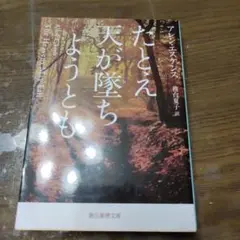【当日発送可】たとえ天が墜ちようとも