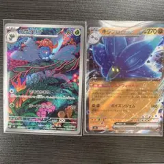 キラフロルex RR  クサイハナ AR セット