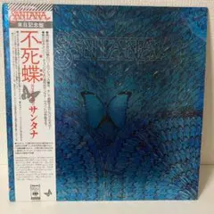 2025年最新】サンタナ／不死蝶の人気アイテム - メルカリ