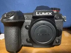 Item thumbnail for item 794ad8bc-0334-444c-8703-f4882031fe4d