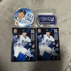 埼玉西武ライオンズ 隅田知一郎 缶バッジ トレーディングカード キーホルダー