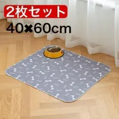 ペットシート 2枚セット 40×60サイズ トイレシート 犬 猫 ペット