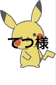 専用出品