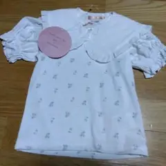 襟付き　Ｔシャツ　100