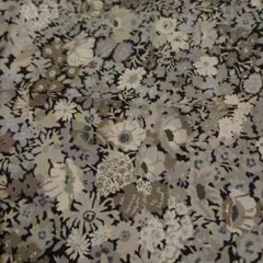 リバティ507 1100 550