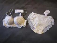 新品☆ワコール トレフル ブラジャーC65&ショーツMセット