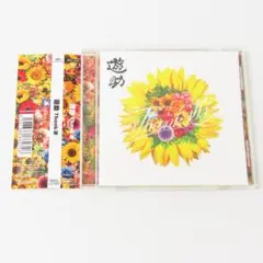 Item thumbnail for item b72385eb-088c-49c1-b1a7-2ca02bcd9eda