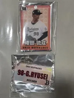 オリックスバファローズ　権田琉成　コロチャレ