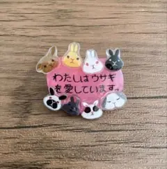 ウサギさんを愛している人のためのブローチ