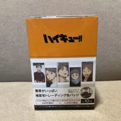 【最終値下げ】ハイキュー 菅原孝支 缶バッジBOX