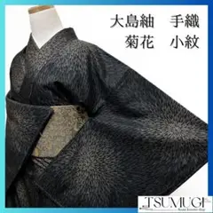 Item thumbnail for item 7c703a6e-f702-4daf-82ff-5cc943c72e02