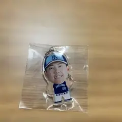 東京ヤクルトスワローズ