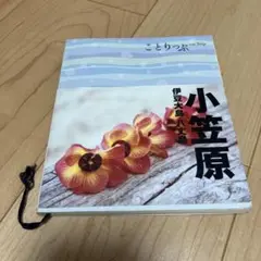 ことりっぷ2012年 初版　小笠原 ・伊豆大島・八丈島