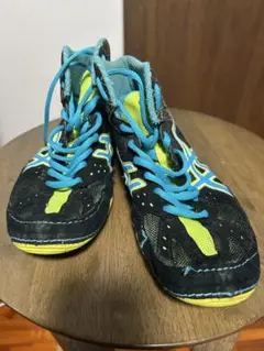 ■ 商品内容 レスリングシューズ　アシックス　24.5cm