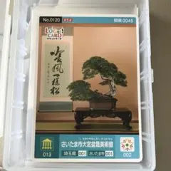 Item thumbnail for item 358ff75b-a4a5-4774-82b2-dfbc310d5808