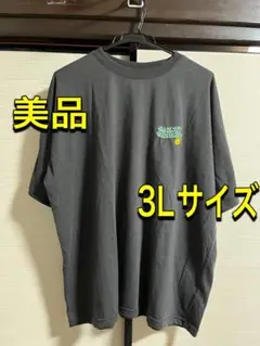 【美品】しまむら　半袖　Tシャツ　レディース　3Lサイズ