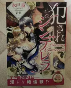 「犯されシンデレラ」水戸泉 プランタン出版　ティアラ文庫　TL小説