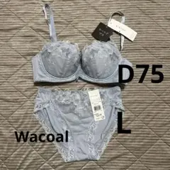 新品　ワコール　W’BASIC ホールドブラ D75 ショーツL 上下セット水色