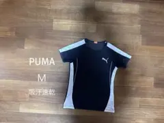 Item thumbnail for item 014f3d02-7393-4d4c-8c9f-84f34acd0d55