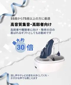 両耳装用 集音器 音声拡張器 耳掛けタイプ 左右両用 充電式