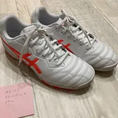 アシックスasics DS LIGHTトレーニングシューズ フットサルシューズ