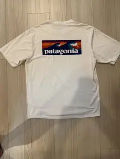 patagonia Capilene Cool Daily Tシャツ Sサイズ