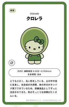 EXPO2025　日本館限定　サンリオ 藻キティ　シークレットピンバッチ
