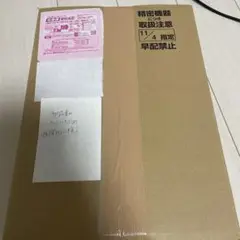 Nintendo Switch スカーレット・バイオレットエディション