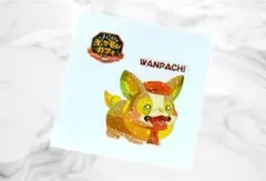 ポケモン パン デコキャラ 【ワンパチ】