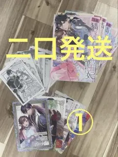 猜疑王の契約王妃 全巻セット