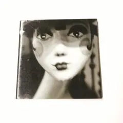 アナスイのアートフォトブック anna sui book