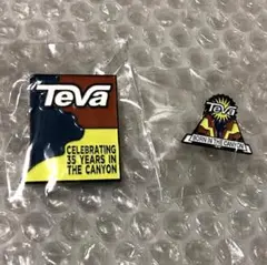 2種類セット 非売品 テバ teva 35周年ピンバッジ ピンバッチ ピンズ