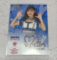 Item thumbnail for item f2713506-a3eb-4690-9035-6ec5dbc14db4